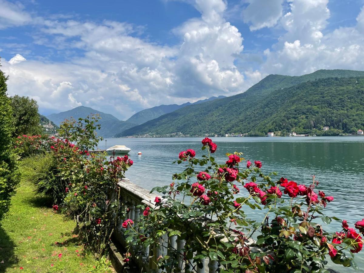 Ville Lago Lugano Porto Ceresio Εξωτερικό φωτογραφία