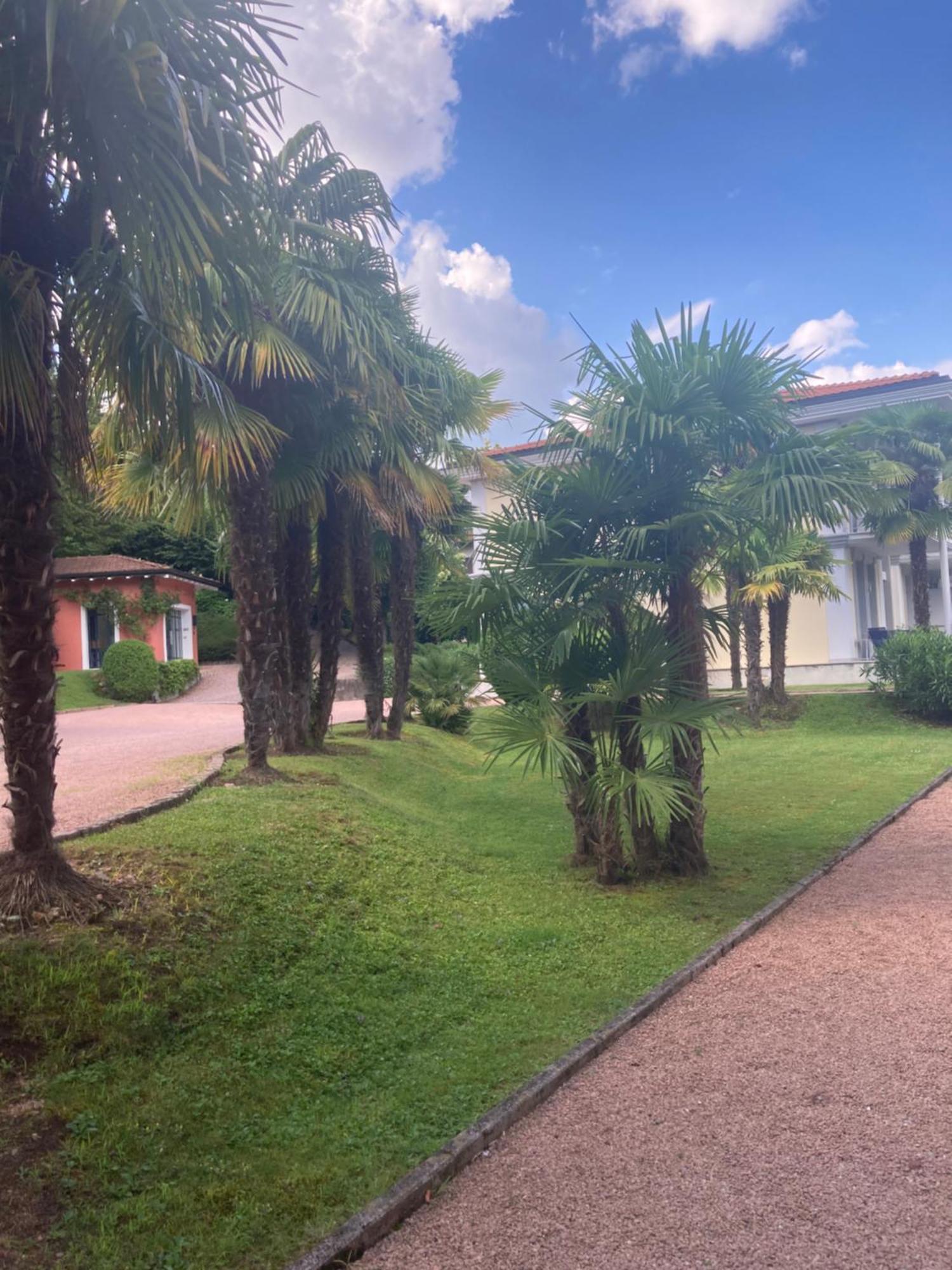 Ville Lago Lugano Porto Ceresio Εξωτερικό φωτογραφία